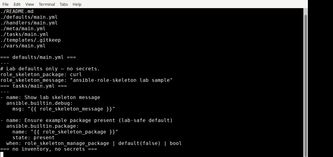 Terminal listing of the public ansible-role-skeleton files, no inventory and no secrets